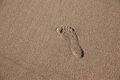 《Apex英雄》国际大赛出现被作弊问题 官方决定延期